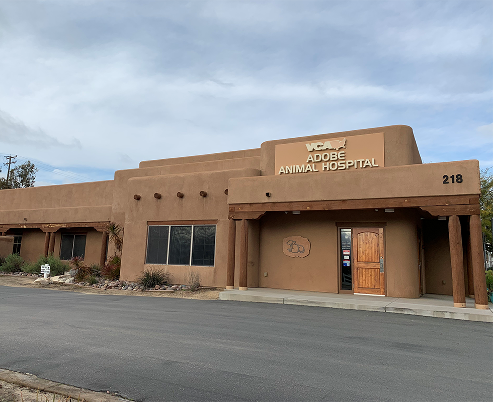 Our Hospital at VCA Adobe