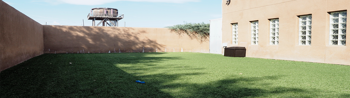 Pet Boarding at VCA Adobe