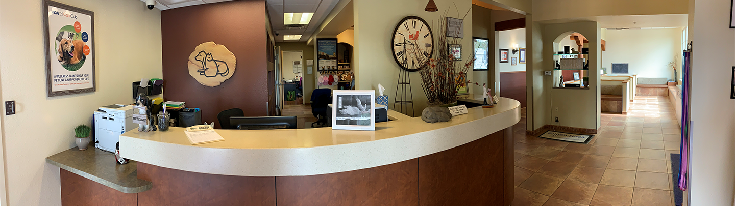 Hours and Information