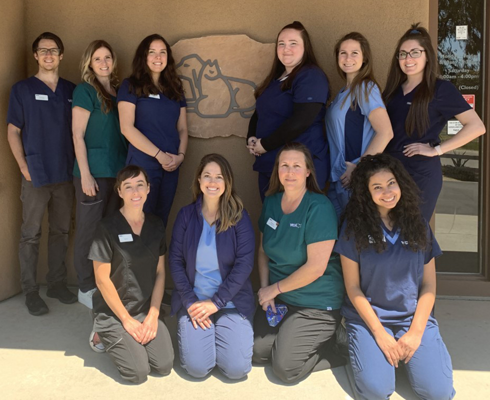 Our Vet Support