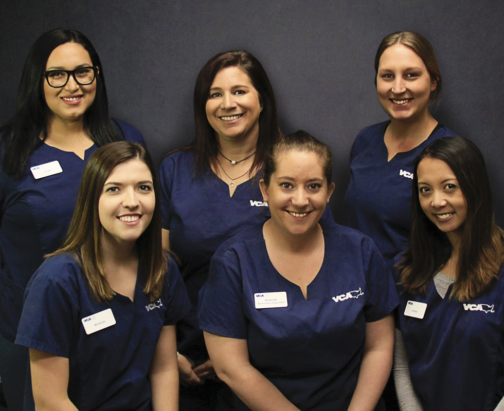 Our Vet Support