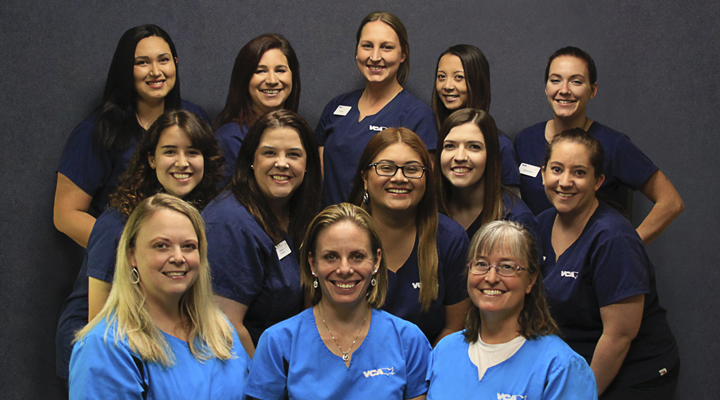 Team with Mosaic myVCA WOOFWare