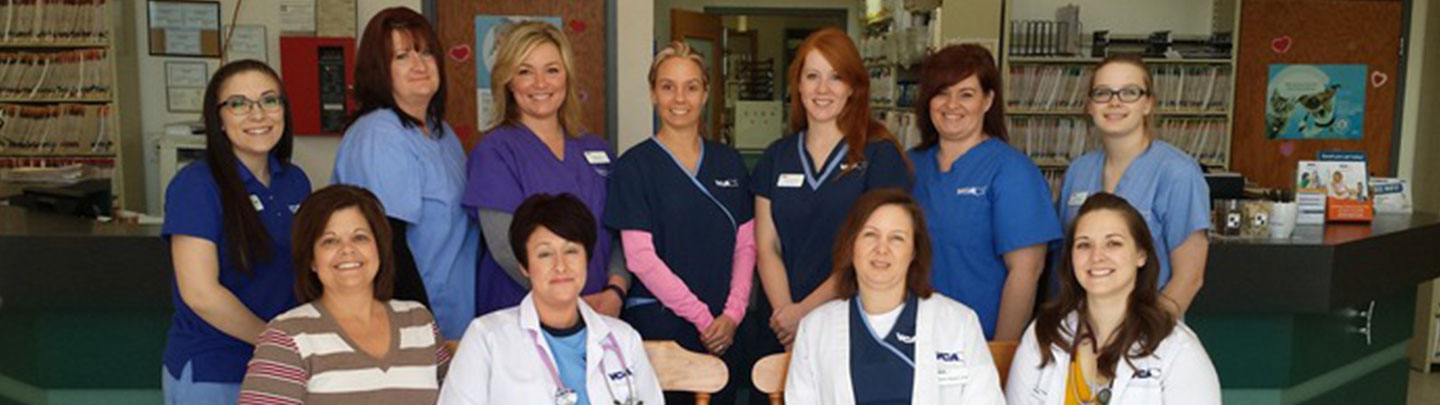Team Picture of VCA All Creatures Animal Hospital