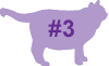 VCA Big Pet Project Overweight Cat Icon