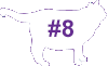 VCA Big Pet Project Overweight Cat Icon