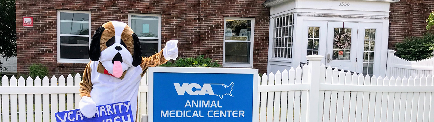 Hospital Picture of VCA Animal Medical Clinic Portsmouth