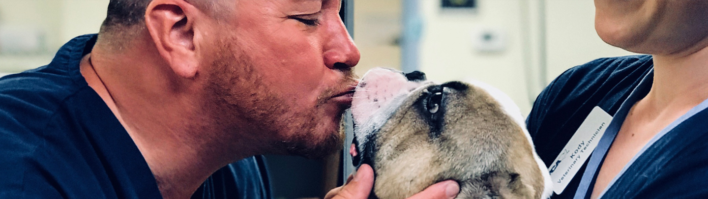VCA Animal Medical Clinic Portsmouth Pet Counseling