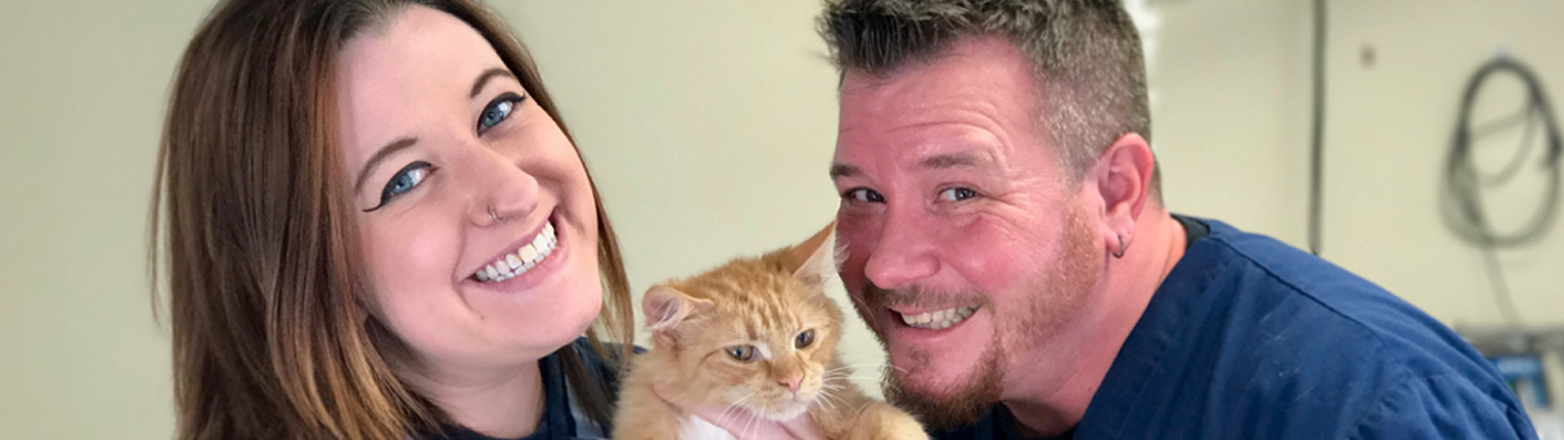 VCA Animal Medical Clinic Portsmouth Preventive Care