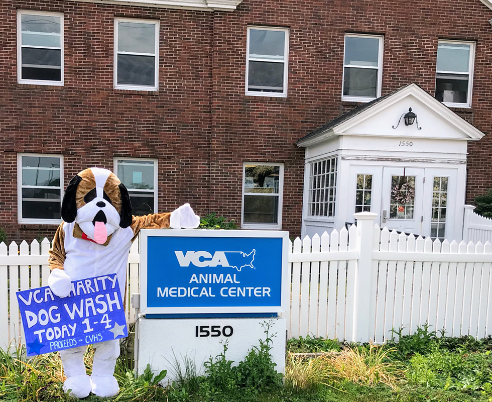 Hospital Picture of VCA Animal Medical Center Animal Hospital