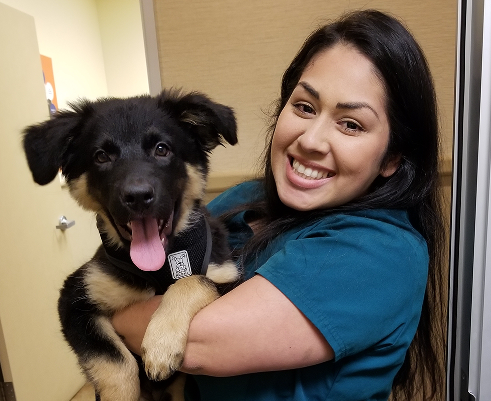 Our Vet Support