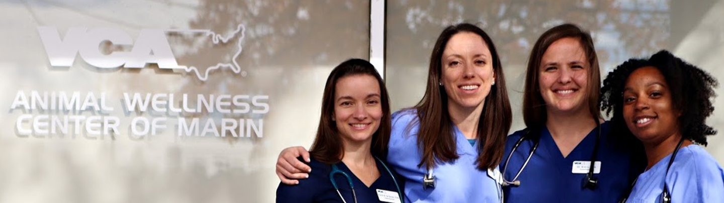 Our Team at VCA Animal Wellness Marin