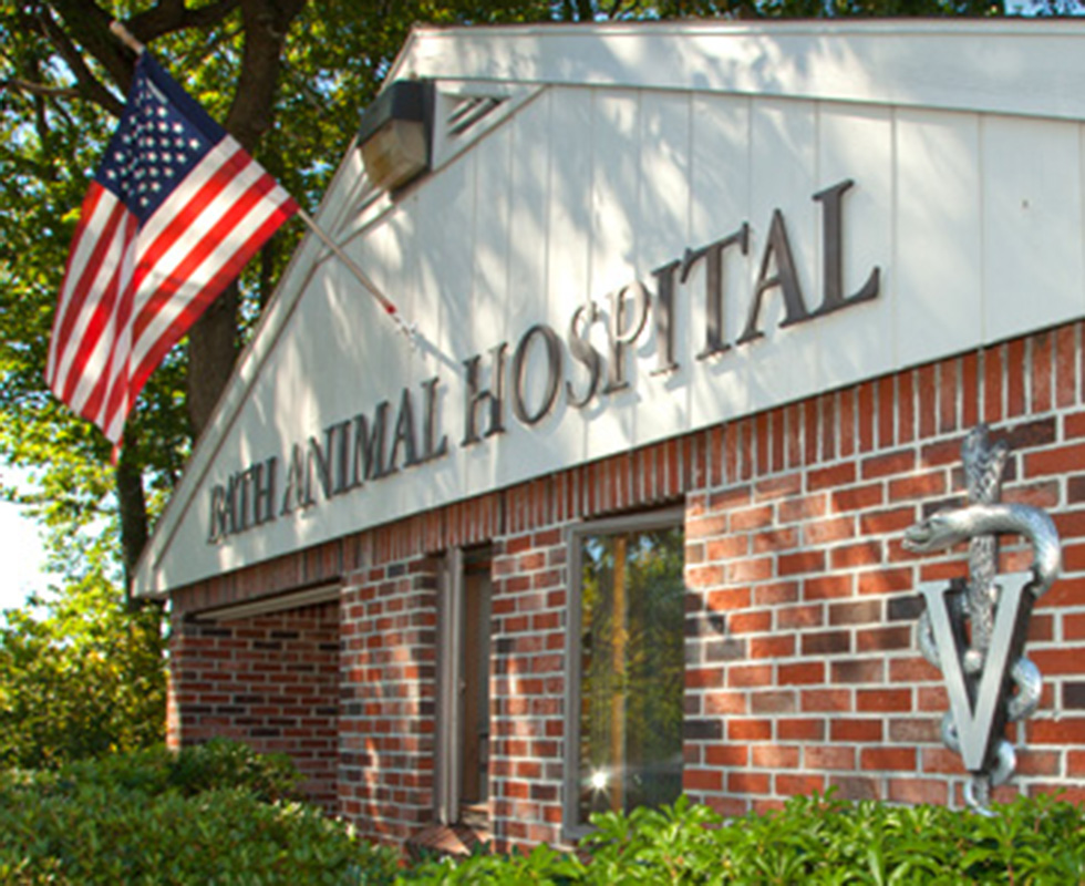 VCA Bath Animal Hospital
