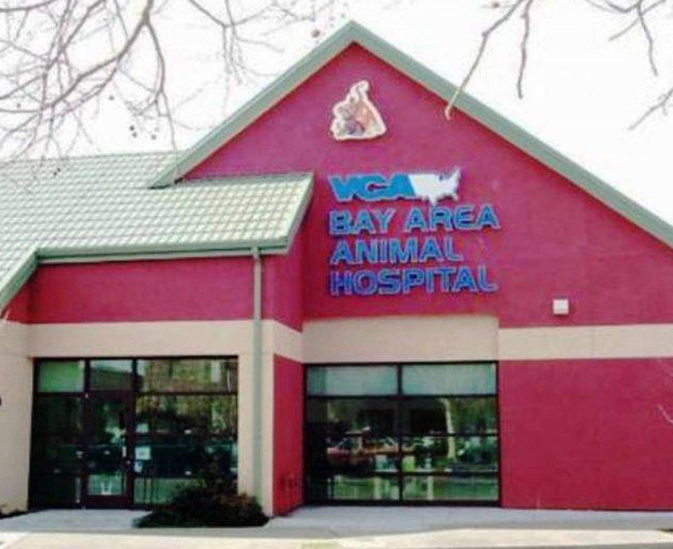 Hospital Picture of VCA Bay Area Animal Hospital