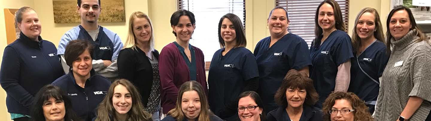 Team Picture of VCA Baybrook Animal Hospital