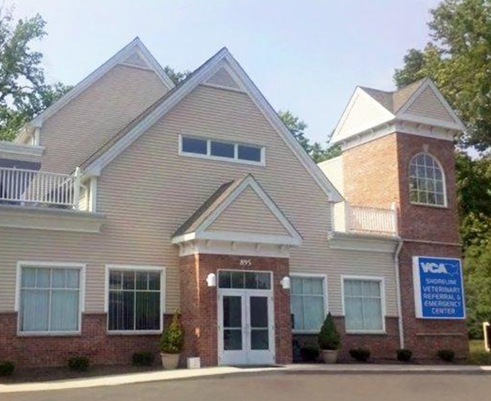 Hospital Picture of  VCA Shoreline  Animal Hospital