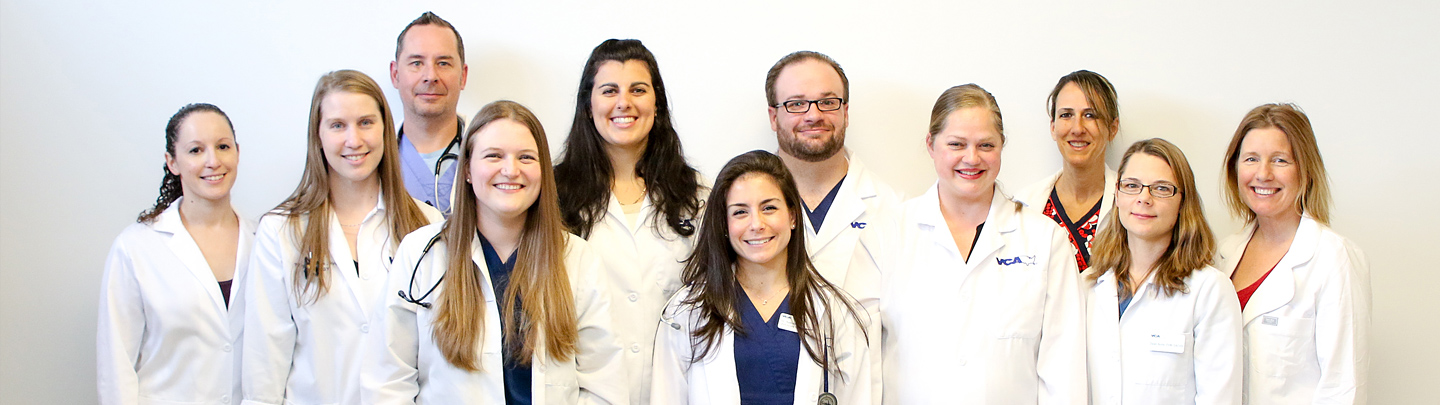 Team Picture of VCA Shoreline Animal Hospital