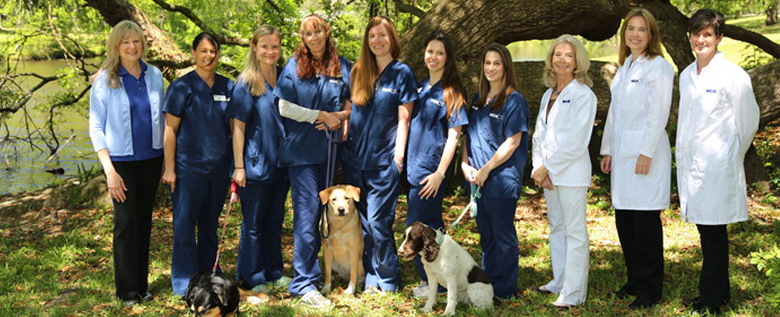 Our Team
