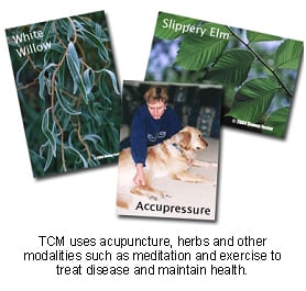 veterinary_tcm-1