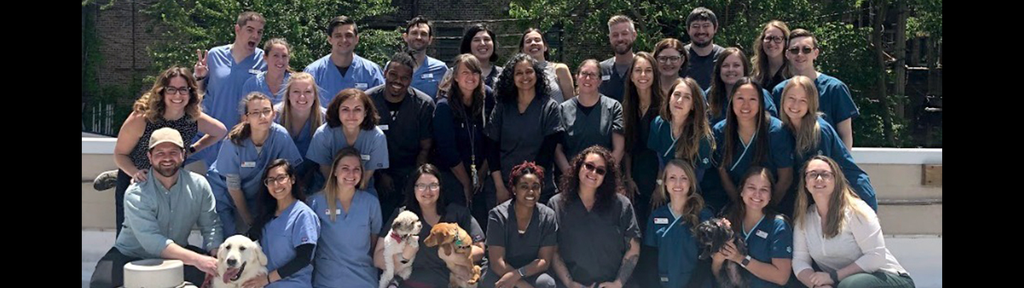 VCA Blum Animal Hospital Team
