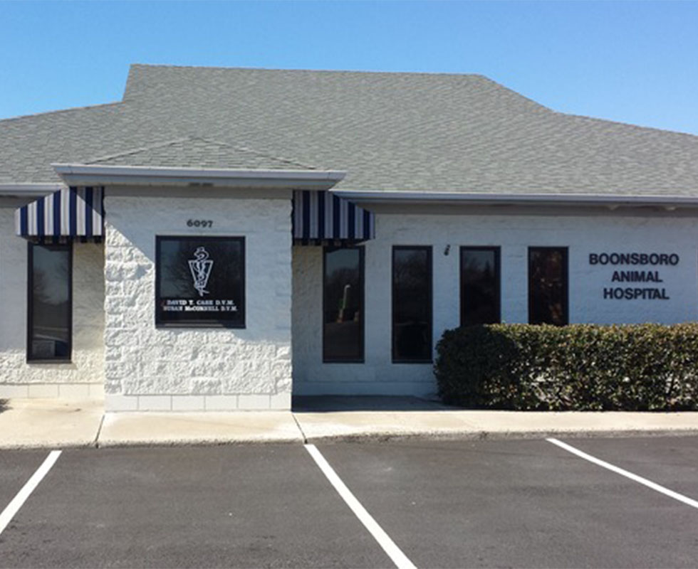Hospital Picture of VCA Boonsboro Animal Hospital