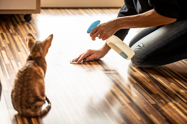 Kitten is watching its owner clean its mess on the floor