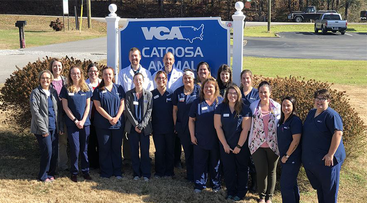 Team with Mosaic myVCA WOOFWare