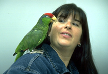 taming_training_talking_to_birds-1