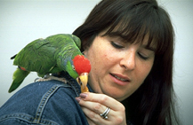 taming_training_talking_to_birds-2 taming_training_talking_to_birds-2