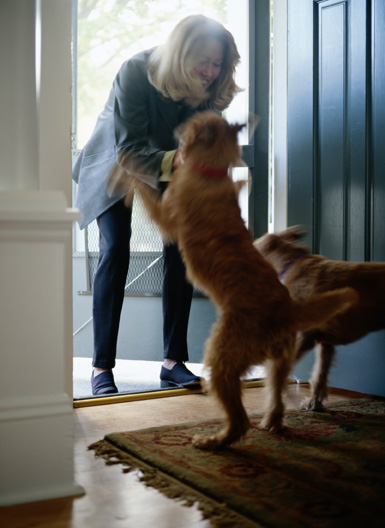 separation_anxiety_in_dogs_3
