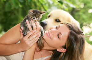 kitten_-_introducing_to_a_new_home_2