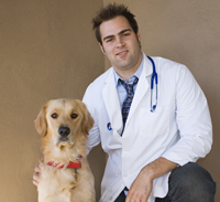 veterinary_visits_examinations_-_desensitization_reducing_fear_1 veterinary_visits_examinations_-_desensitization_reducing_fear_1
