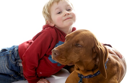 dog_behavior_problems_aggression_children