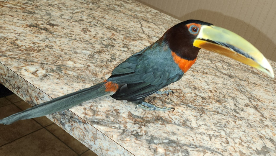 image 34