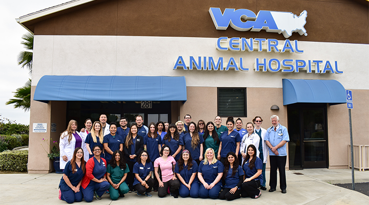 Team with Mosaic myVCA WOOFWare