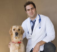 veterinary_visits_examinations_-_desensitization_reducing_fear_1 veterinary_visits_examinations_-_desensitization_reducing_fear_1