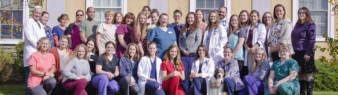 Team Picture of VCA Colonial Animal Hospital