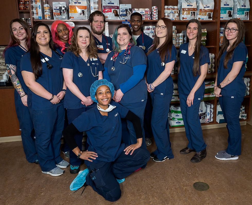 Our Vet Support