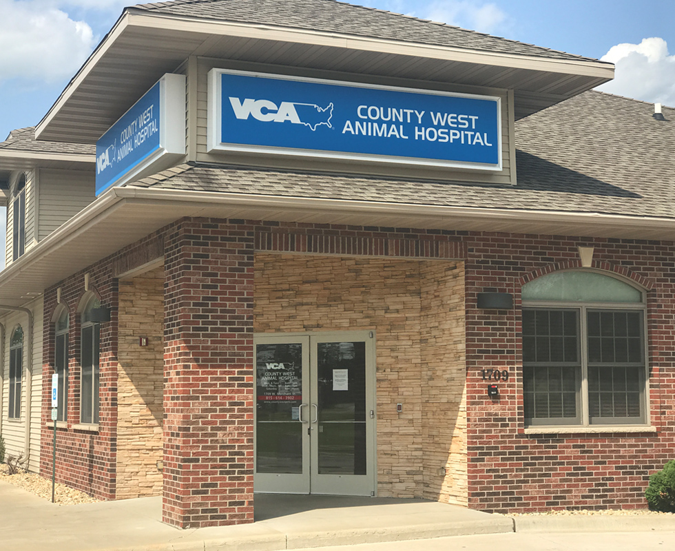 Hospital Picture of VCA County West Animal Hospital