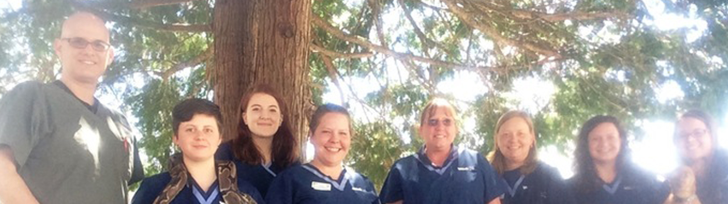 Team Picture of VCA Dahlonega Animal Hospital