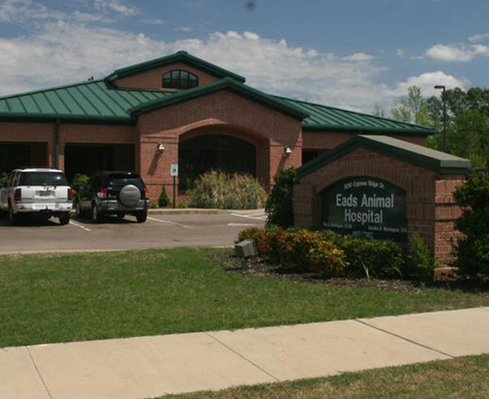 Hospital Picture of VCA Eads Animal Hospital