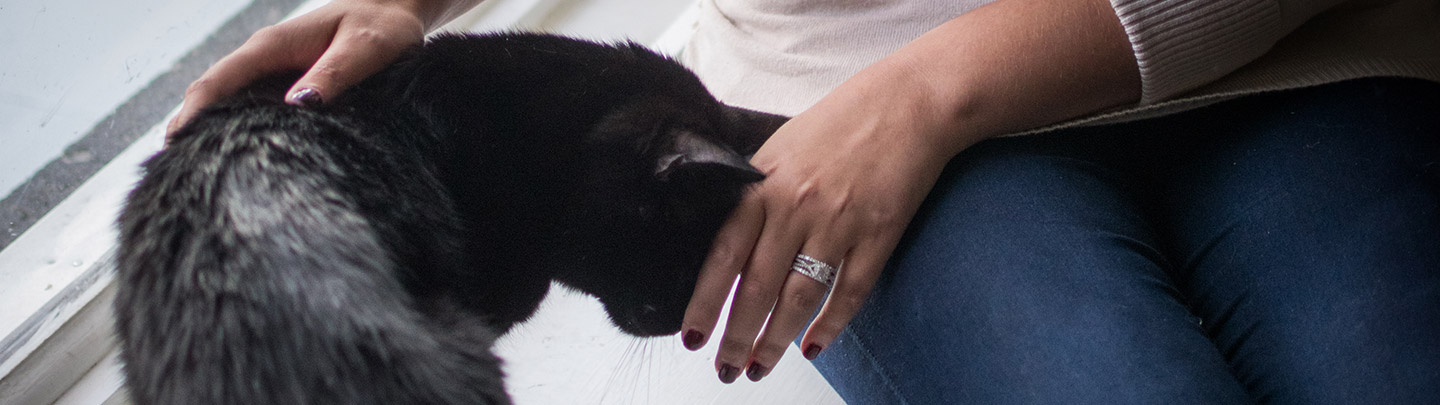 VCA Hours & Information Picture of a Woman Petting a Cat