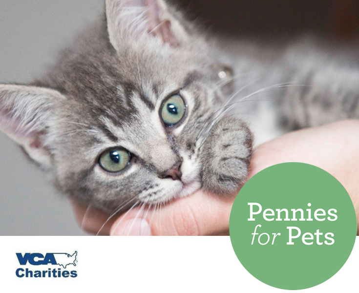 VCA Pennies for Pets 01 - Cats
