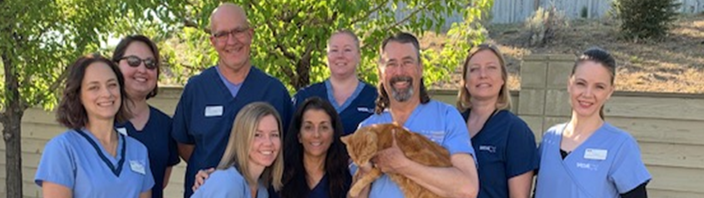 Our Team at Feline Medical Center