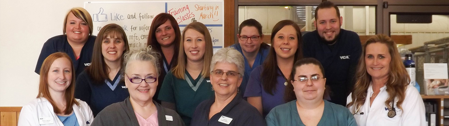 Team Picture of VCA Findlay Animal Care Center