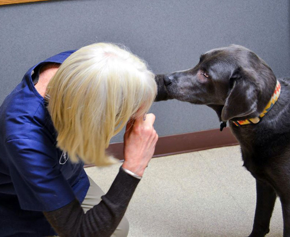 VCA French Creek Animal Hospital