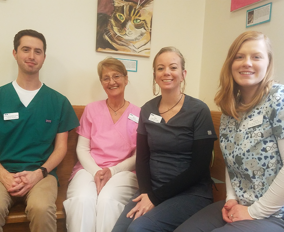 Our Vet Support
