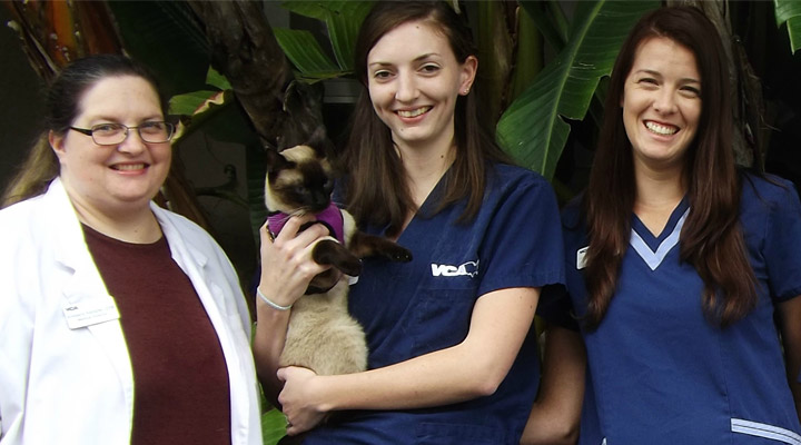 Team with Mosaic myVCA WOOFWare