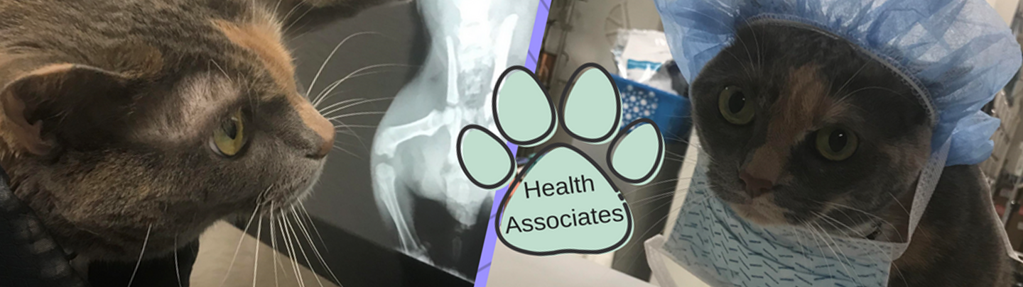 Advanced Care at Health Associates 