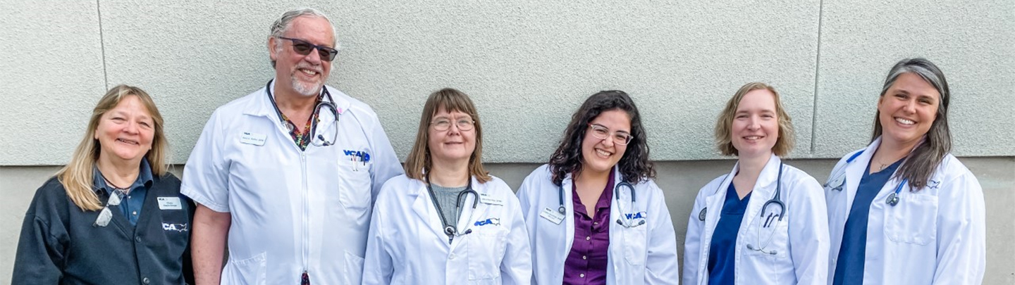 Health Associates Team 2020