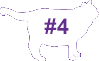 VCA Big Pet Project Overweight Cat Icon